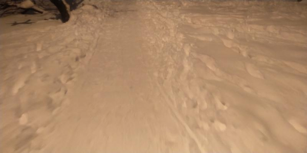 В Крымском районе Кубани ввели режим повышенной готовности из-за непогоды В Крымском районе Кубани ввели режим повышенной готовности из-за непогоды