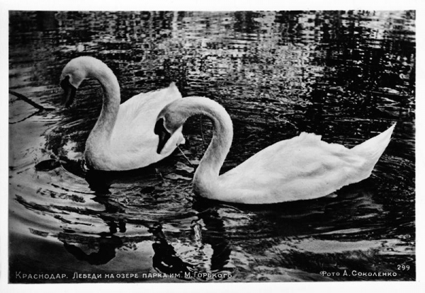 Краснодар, которого нет: Горпарк Краснодар, которого нет: Горпарк