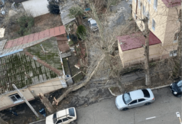 Газовую трубу погнуло упавшее от сильного ветра дерево в Туапсе Газовую трубу погнуло упавшее от сильного ветра дерево в Туапсе