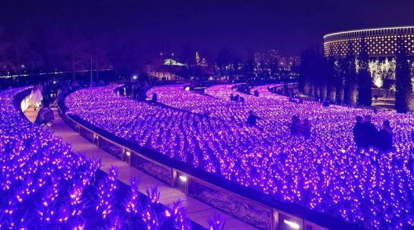 Фонари, гирлянды и снег. Парк «Краснодар» на новогодних каникулах Фонари, гирлянды и снег. Парк «Краснодар» на новогодних каникулах