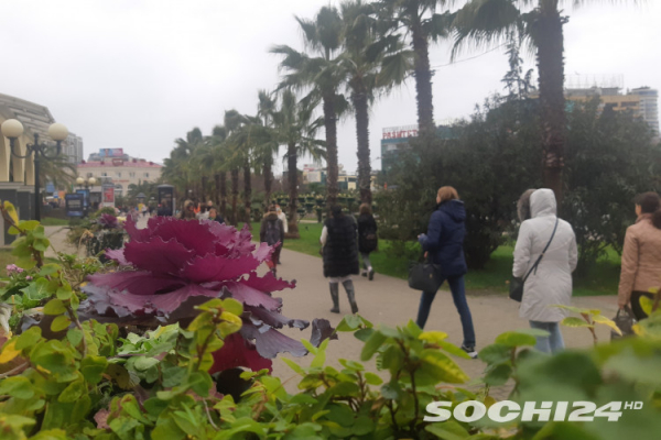 Стало известно, как изменится жизнь россиян с 1 марта: новое в законодательстве