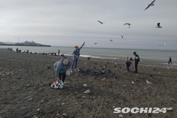 "Море в отпуске": показываем, что происходит на зимних пляжах в Сочи  (Фото)