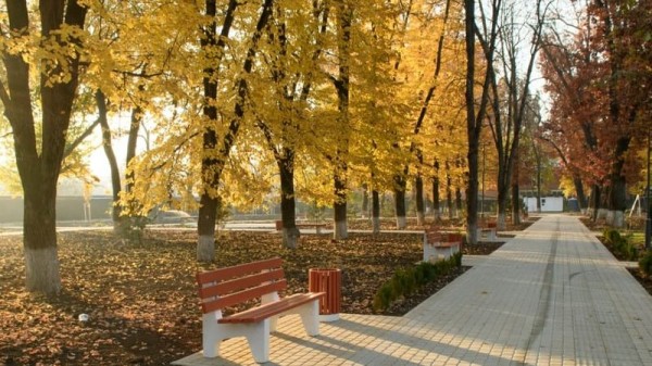 В Краснодаре старт голосования по выбору зеленых зон для благоустройства переносится на 26 апреля В Краснодаре старт голосования по выбору зеленых зон для благоустройства переносится на 26 апреля