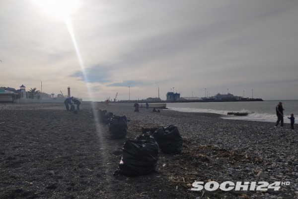 "Море в отпуске": показываем, что происходит на зимних пляжах в Сочи  (Фото)