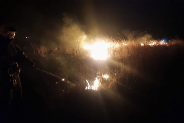 Пожар в плавнях Темрюкского района ликвидирован