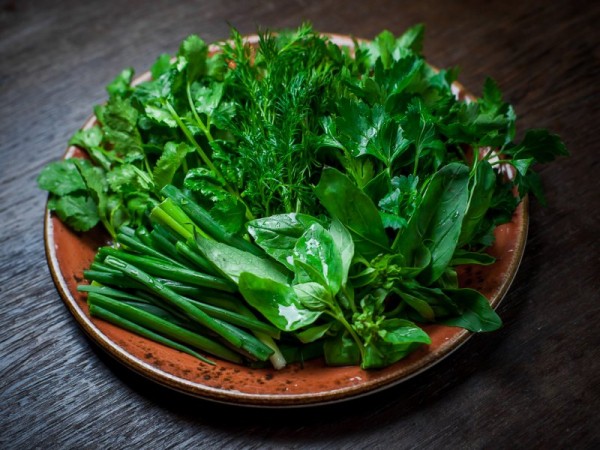 Ученые: здоровье сердца и мозга помогут сберечь зелень и ягоды Ученые: здоровье сердца и мозга помогут сберечь зелень и ягоды