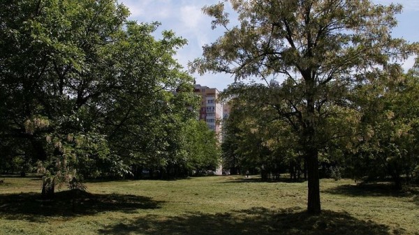 Жители Краснодара могут стать волонтерами для проведения голосования за объекты благоустройства