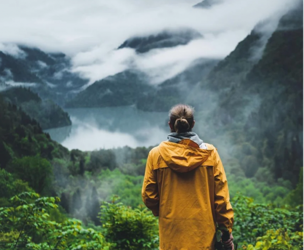 Местный житель назвал главную причину, по которой нужно съездить в Абхазию из Сочи хотя бы на один день Местный житель назвал главную причину, по которой нужно съездить в Абхазию из Сочи хотя бы на один день
