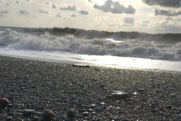 Берег моря в Краснодарском крае оказался усыпан орехами 