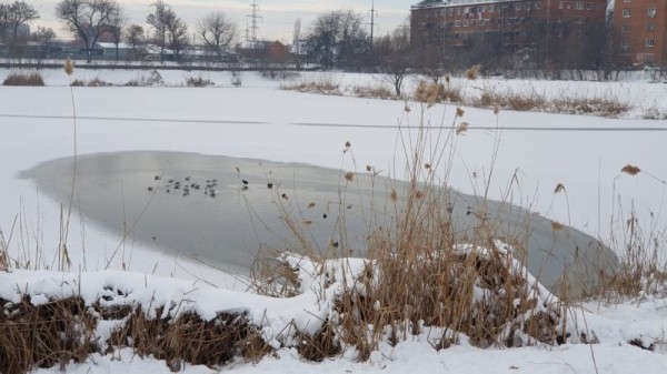 В Краснодаре спасатели ежедневно патрулируют водоемы из-за опасности тонкого льда