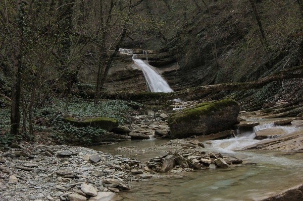 Не только море и «дворец Путина». Что еще посмотреть в Геленджике Не только море и «дворец Путина». Что еще посмотреть в Геленджике