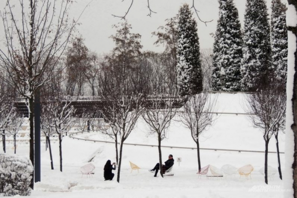 В парке Галицкого начали убирать светящийся шалфей