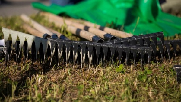 В Краснодаре 15 марта стартует общегородской месячник по наведению санитарного порядка и благоустройства В Краснодаре 15 марта стартует общегородской месячник по наведению санитарного порядка и благоустройства