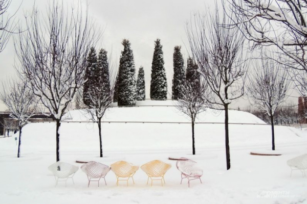 В парке Галицкого начали убирать светящийся шалфей
