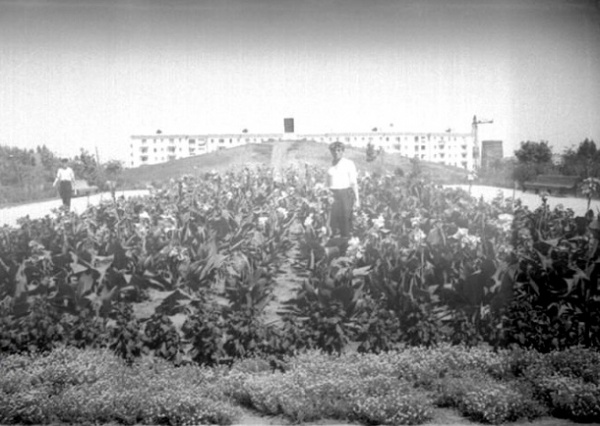 Воскрешая «Аврору». Хроника спасения краснодарского памятника архитектуры Воскрешая «Аврору». Хроника спасения краснодарского памятника архитектуры