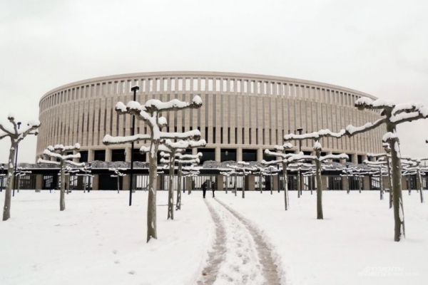 В парке Галицкого начали убирать светящийся шалфей