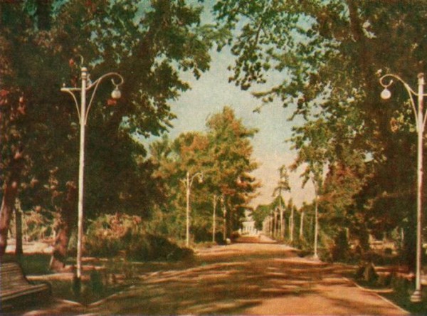 Первомайская роща. Краснодар, которого нет