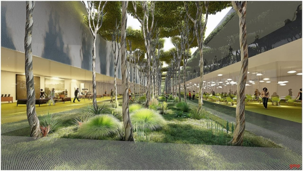 В Краснодаре представили проект реконструкции кинотеатра «Аврора»