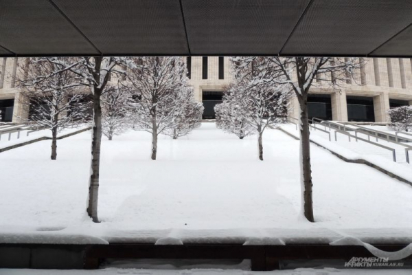 В парке Галицкого начали убирать светящийся шалфей