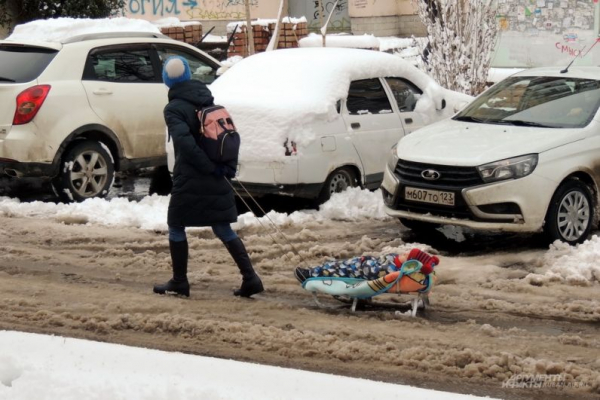 В парке Галицкого начали убирать светящийся шалфей