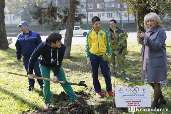 Краснодар обрел аллею Олимпийской славы Краснодар обрел аллею Олимпийской славы