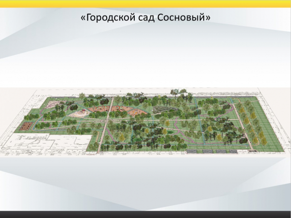В пос. Берёзовом Краснодара освобожденная от незаконных гаражей территория станет частью зеленой зоны