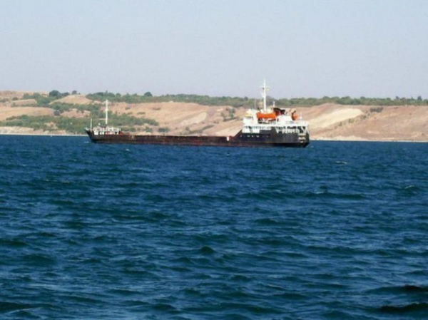 Эколог назвал причину массовой гибели птиц на пляжах в Новороссийске