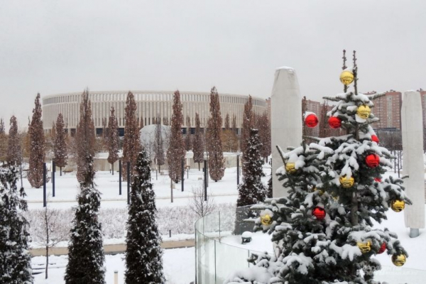 В парке Галицкого начали убирать светящийся шалфей