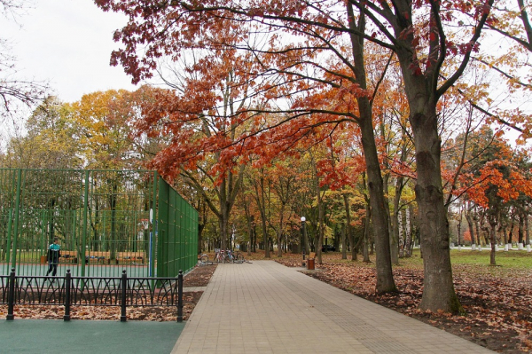 В Краснодаре стартовало благоустройство четырёх зелёных зон