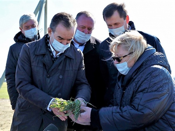 Урожай-2021: что и кто поможет кубанским аграриям