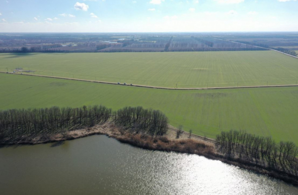 Урожай-2021: что и кто поможет кубанским аграриям