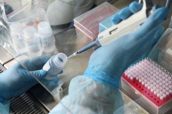 
                                Число COVID-больных на Кубани превысило 42 тысячи человек
                            