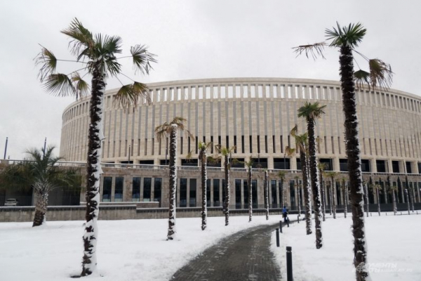 В парке Галицкого начали убирать светящийся шалфей