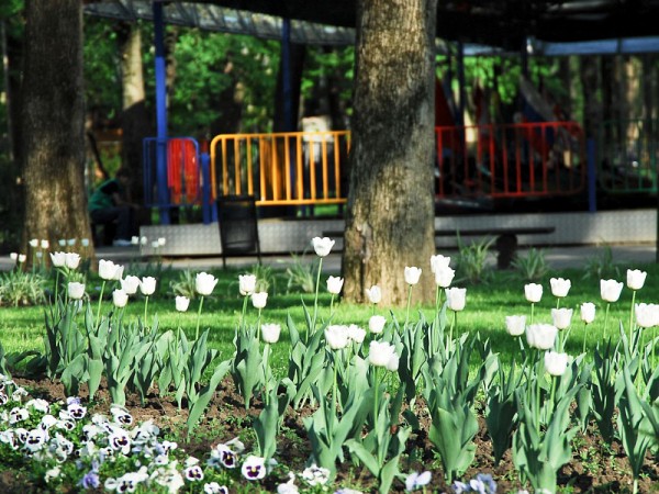 Около 70 населенных пунктов Кубани зарегистрировались на платформе онлайн-голосования по благоустройству территорий Около 70 населенных пунктов Кубани зарегистрировались на платформе онлайн-голосования по благоустройству территорий