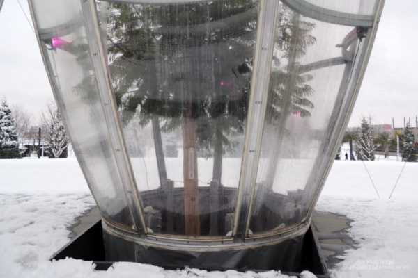 В парке Галицкого начали убирать светящийся шалфей