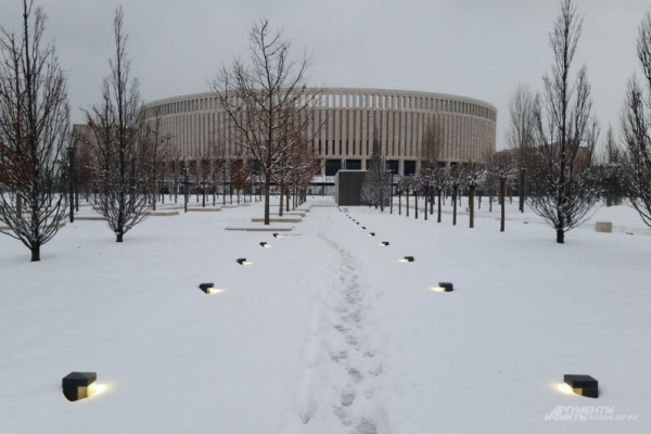 В парке Галицкого начали убирать светящийся шалфей