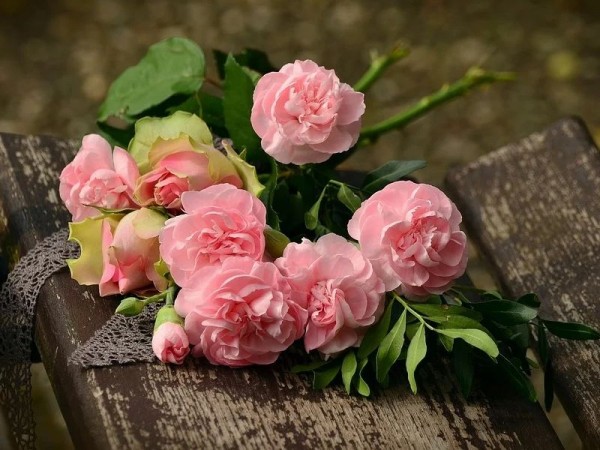 Накануне 8 Марта в Краснодаре откроются дополнительные «цветочные» точки