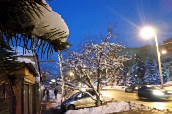 В парке Галицкого начали убирать светящийся шалфей