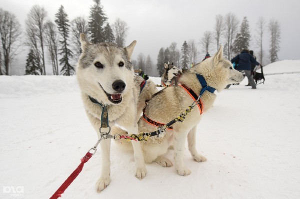  Снег на юге. Куда ехать?