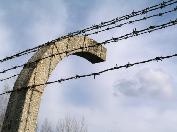 
                                Жительницу Новороссийска, истязавшую сына, лишили родительских прав и отправили в колонию
                            