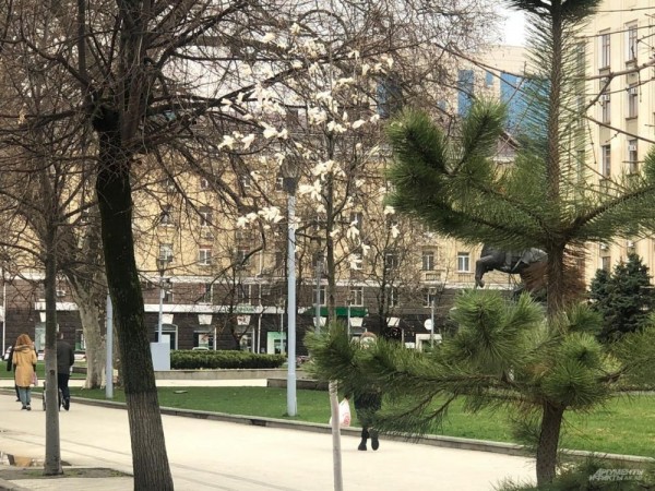 Улицы Краснодара в апреле - 2021