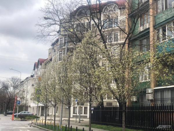 Улицы Краснодара в апреле - 2021