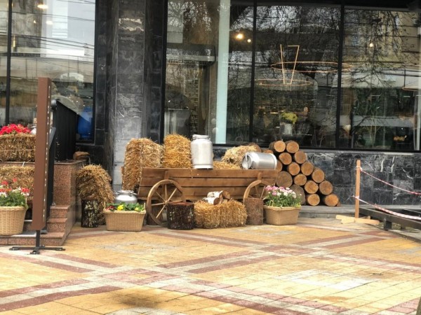 Улицы Краснодара в апреле - 2021