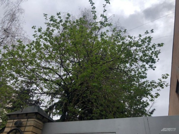 Улицы Краснодара в апреле - 2021