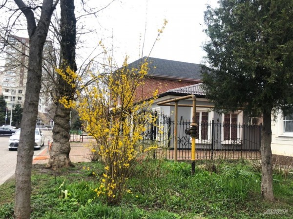 Улицы Краснодара в апреле - 2021