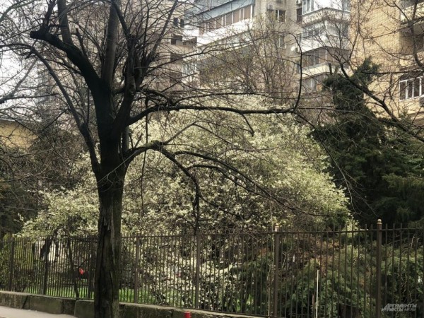 Улицы Краснодара в апреле - 2021