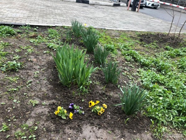 Улицы Краснодара в апреле - 2021