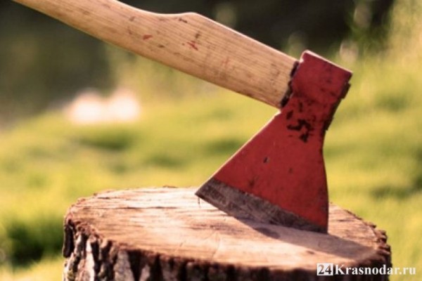 Виновный возместит ущерб от вырубки деревьев на берегу р. Кубань Виновный возместит ущерб от вырубки деревьев на берегу р. Кубань