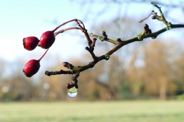 В Краснодарском крае спрогнозировали потепление до 18-24 градусов