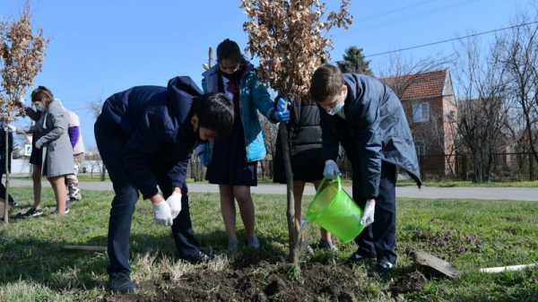 Евгений Первышов дал старт экологической акции &laquo;Краснодар &mdash; 10 тысяч деревьев&raquo;